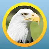North American Bird ID Quiz icon