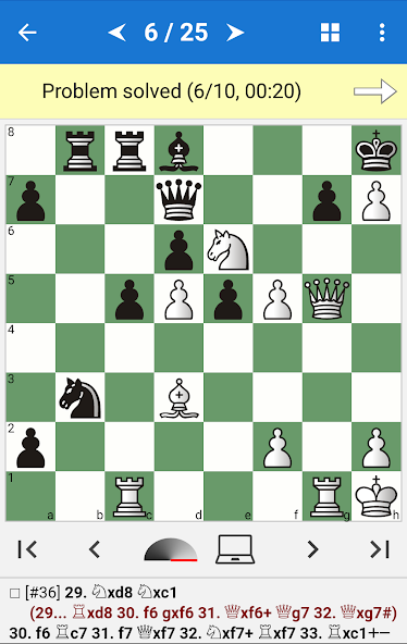 Steinitz - Chess Champion banner