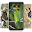 barbet beautiful bird sweet Wallpaper Download on Windows