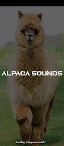 Alpaca sounds