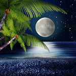 Tropical Night Live Wallpaper Apk