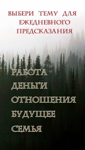 Android application Предсказатель screenshort