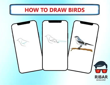 Cum să desenezi păsările – Aplicații pe Google Play