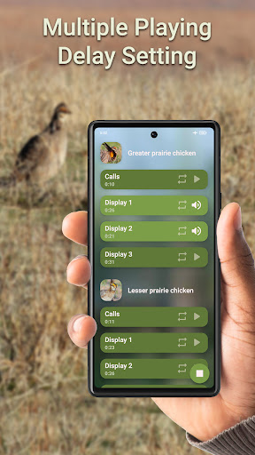 Prairie Chicken Hunting Calls Screen 2