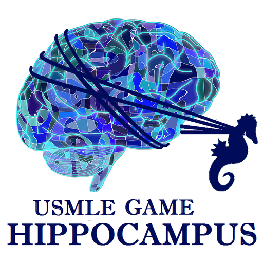 Hippocampus - USMLE Step 1