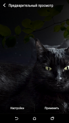 かわいい黒猫ライブ壁紙のおすすめ画像5