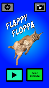 Floppa=Amazing :) (these photos and gifs were found on google