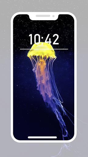 Jellyfish Wallpapers