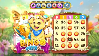 Game screenshot Bingo:  Free the Pets mod apk
