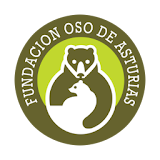 Oso de Asturias icon