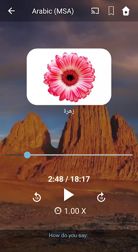 Learn MSA Arabic. Speak MSA Ar Screen 2