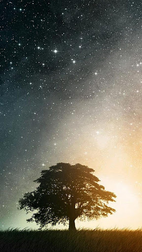 Wallpapers for HTC series Screen 3