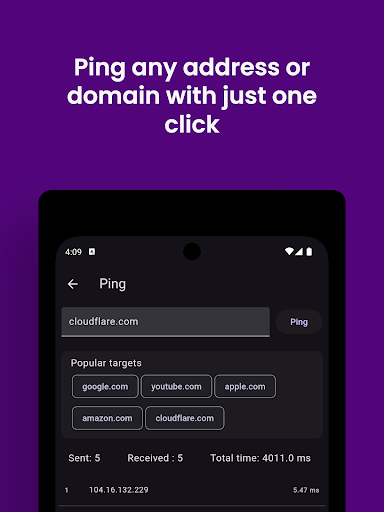 Vernet - Network Analyzer screenshot 21