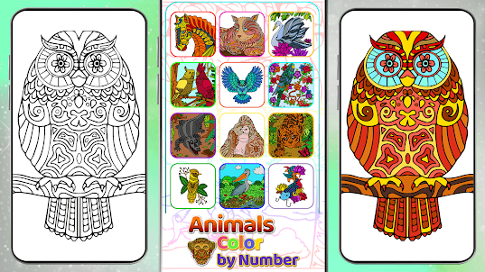 Animals Color by Number Art