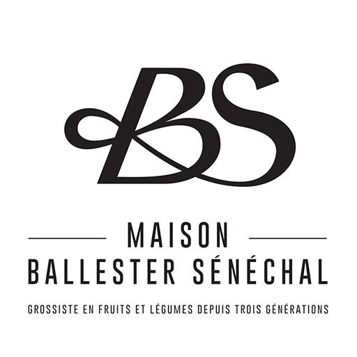 Ballester Senechal  Icon
