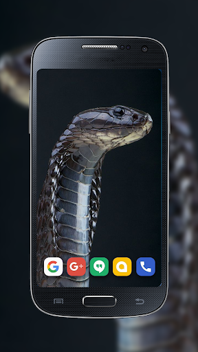 Android application Ular maskulin wallpaper screenshort
