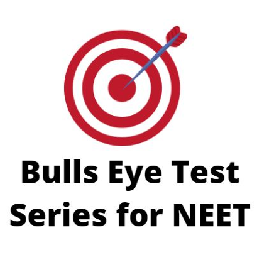 Bulls Eye logo