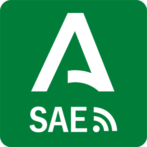 Servicio Andaluz De Empleo SAE