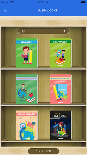 aule.co Screen 3