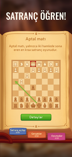 Online Satranç ekran görüntüsü
