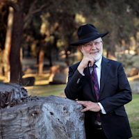 Rabbi David Lapin