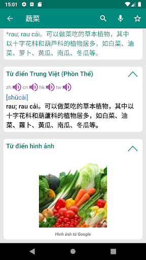Vietnamese French Dictionary Screen 2