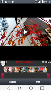 MP4 Video Cutter Screenshot