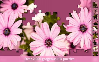 Game screenshot Jigsaw Puzzle Gallery hack