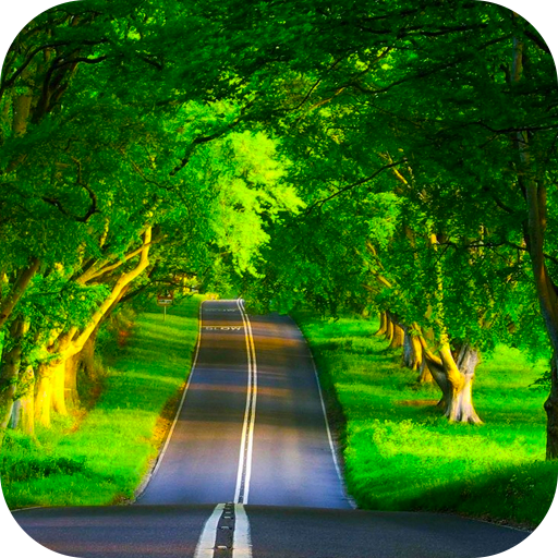 Forest Live Wallpaper HD - Ứng dụng trên Google Play