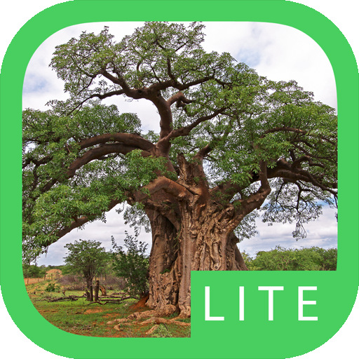 eTrees of Southern Africa Lite 1.2.0 Icon