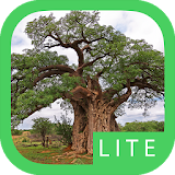 eTrees of Southern Africa Lite icon