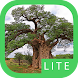 eTrees of Southern Africa Lite