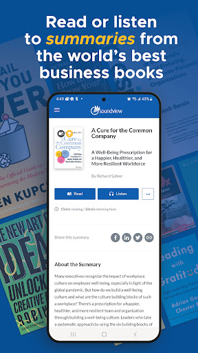 Summary.com Screen 2