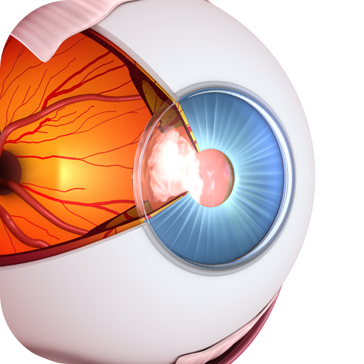 Vision Workout : Eye Training 1.0.3 Icon