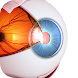 THE眼球トレーニング〜見るだけ動体視力アップ〜 - Androidアプリ