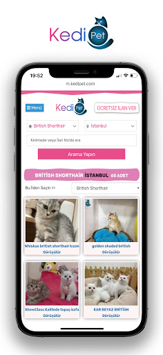 KEDiPET.COM Yavru Kedi Sahiple Screen 3