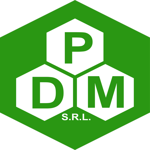 DPMSRL B2B logo
