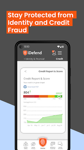 iDefend Screen 2