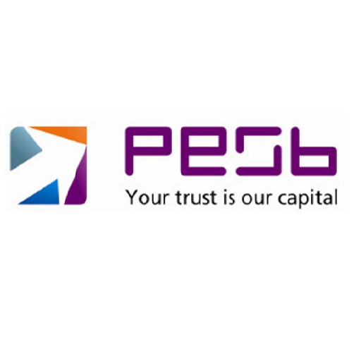 PESB backoffice Logo