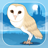 Owl Simulation Game icon