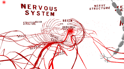 Nervous System VR