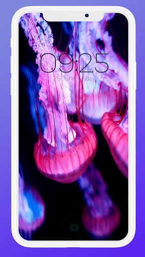 Sea Jellyfish Wallpaper Screen 2