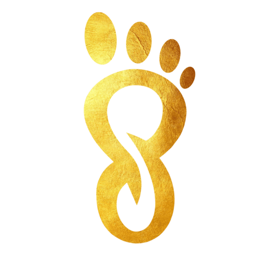 Dwive St Lucia logo