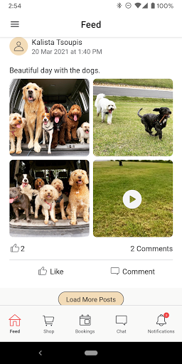 City Sniffers Screen 2