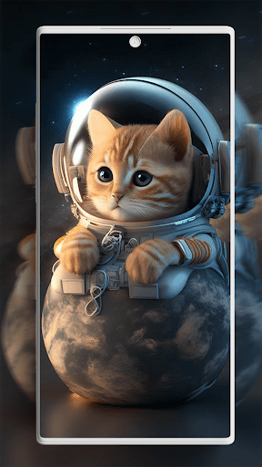 Cute Cat Wallpapers Screen 3