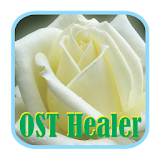 OST Healer icon