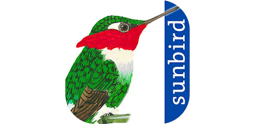 All Birds Colombia - A Sunbird