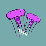 Jelly Bloom icon
