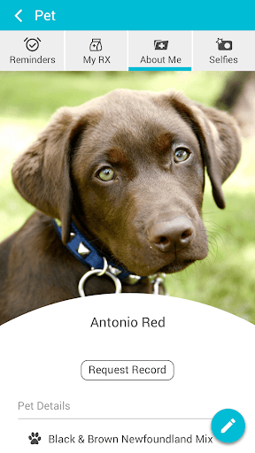 Marlboro and Berlin AH screenshot 3