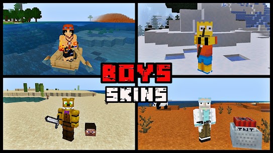 Mods and skins 5